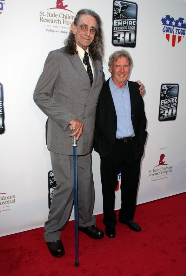 Morre Peter Mayhew, o homem por trás de Chewbacca em Star Wars - TecMundo